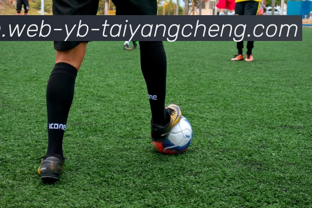 多媒体互动体验